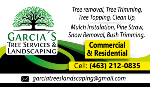 CARA_B_PNG-01-0531762.png